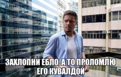 1115555.jpg