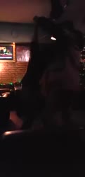 buhoi.mp4