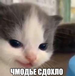 1640613471085.png