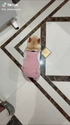 112.mp4