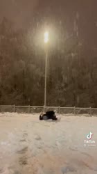 1640716400442.webm
