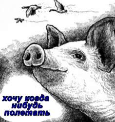 16390474213701.jpg