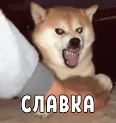 slavka.mp4