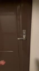 IMG3561.MOV