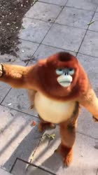 1629985334704.webm