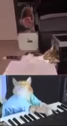 1610309668907.webm