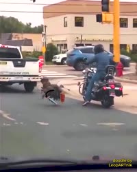1521641196764.mp4
