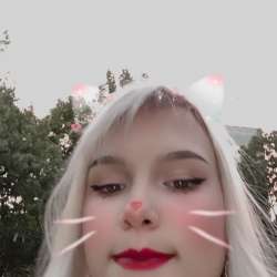 11.png