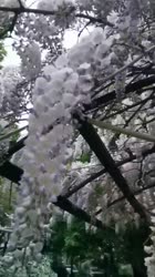 video2022-05-0319-37-56.mp4