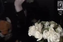13.webm