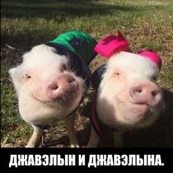 73D4540E-B4AE-47DB-987A-72F540B85910.jpeg