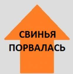 порватка.jpg