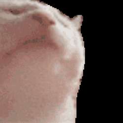 16402817601890.gif