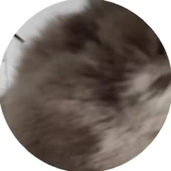 doc2022-05-0623-30-26.mp4