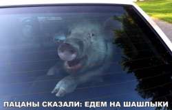 yb78zb7mUMI.jpg
