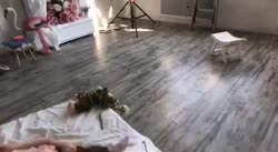 16521339752140.mp4