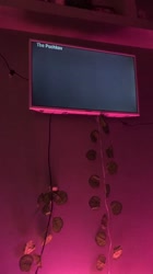 1652433423142.mov