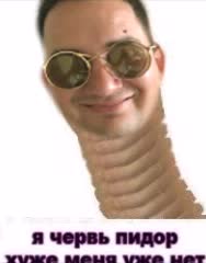 15767930269210.webm