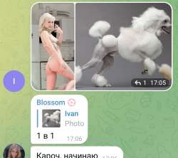 1652974457311.jpg