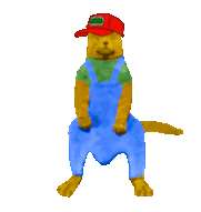 Qxccn3wn.gif