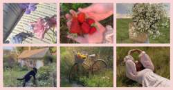 cottagecore-1-1024x538.png