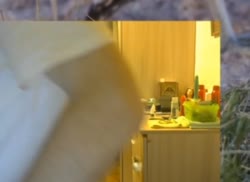 16164139588671.webm