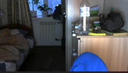 4436 .webm
