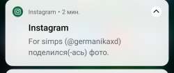 1654281226529.jpg