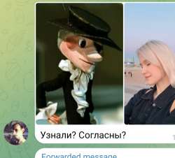 1654699579962.jpg