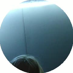 VID20190916010141835.mp4