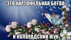 beskonechno-leto-vam113379430orig.jpg