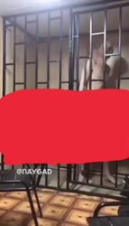 16552666209100.mp4