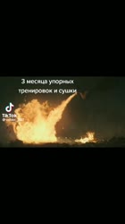 8221e20d8291944788367639d1377825.mp4