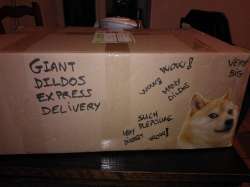 SpaceX-dildo-wow-doge-песочница-2766155.jpeg