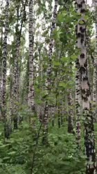 VID20220705070200297.mp4~2.mp4