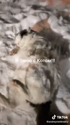165855411554.mp4