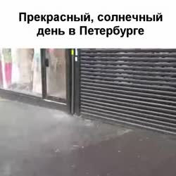 16571687720790.webm