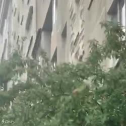 VID20220707132106998.mp4