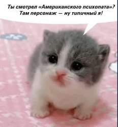 1573424898648.png