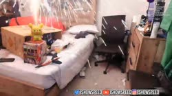 IShowSpeed.mp4