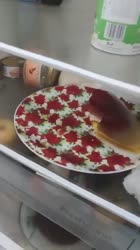 чо ты трэсэшься.mp4