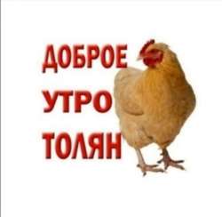 1657267424191.jpg