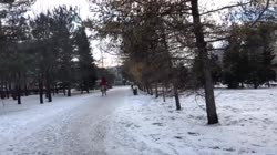 1608688473450.mp4