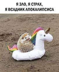 images.jpg