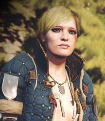 b22a14eaa34c704e97b971cae2d19ae1--the-witcher--wild-hunt.jpg