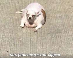 16547195810370.jpg