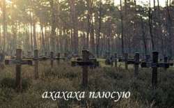 9RmXorP9M8uxNF9VQx3kW6N2XgHtNAr4nBJkNqlYIqHPVJZcPNVIIka525O[...].jpg