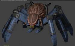 Spider 3.jpg