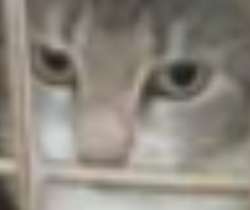1664668557754.png