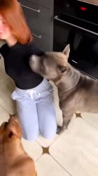 16641112653870.webm